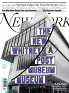 New-York-Magazine April 20, 2015 Issue Cover