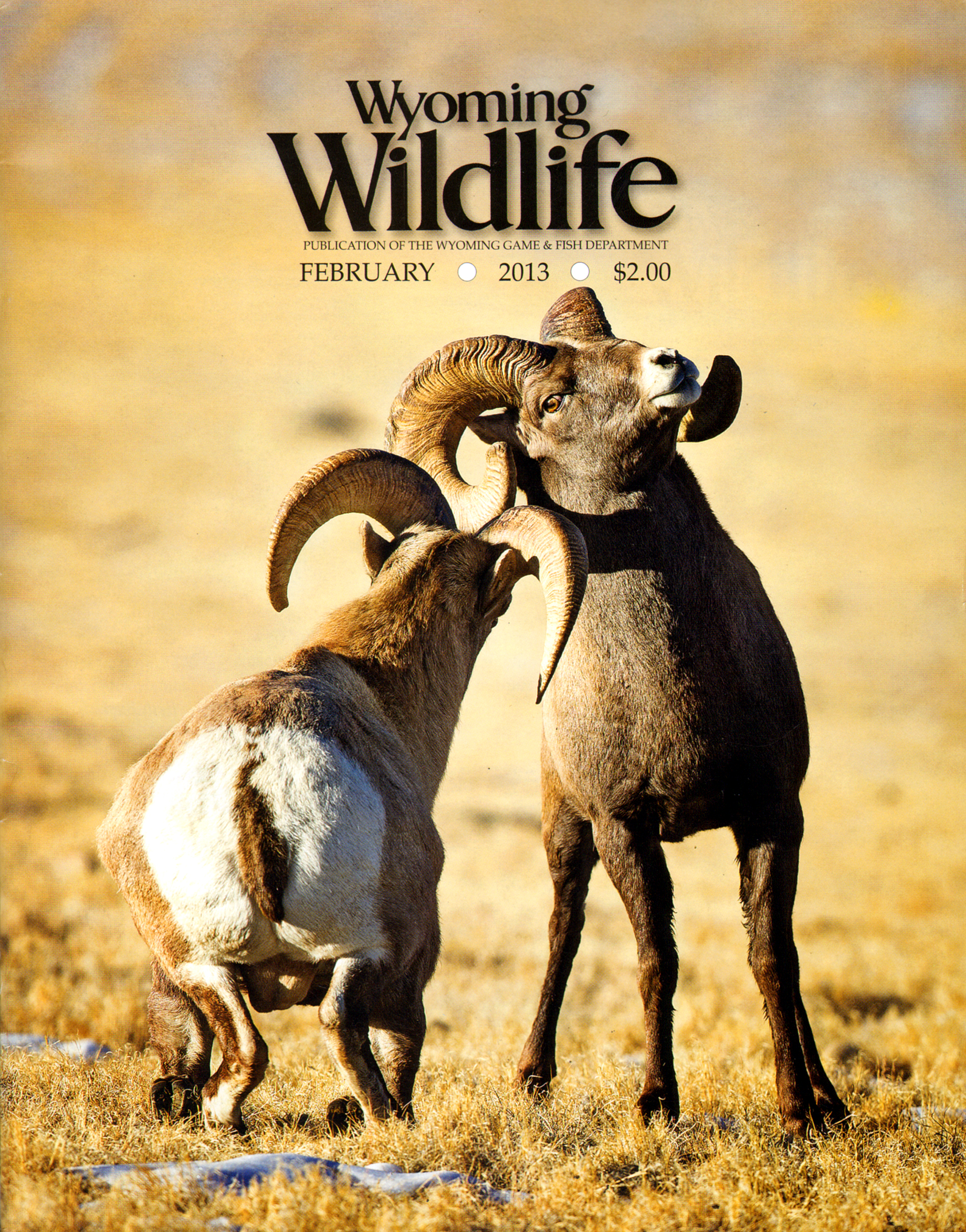 Wyoming-Wildlife February 01, 2013 Issue Cover