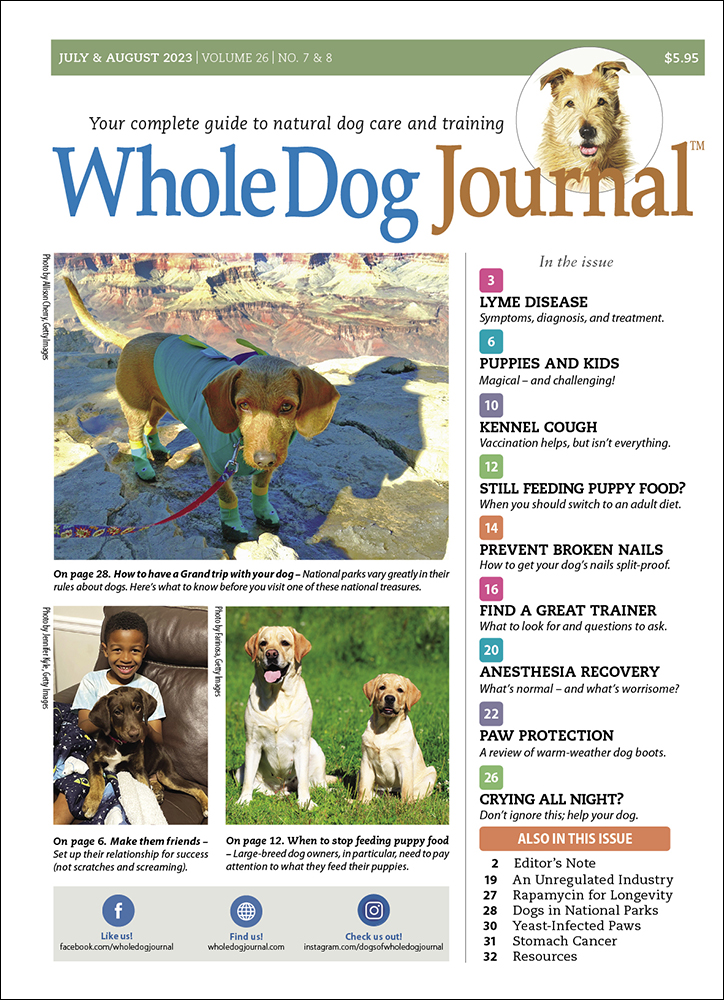 Whole-Dog-Journal July 01, 2023 Issue Cover