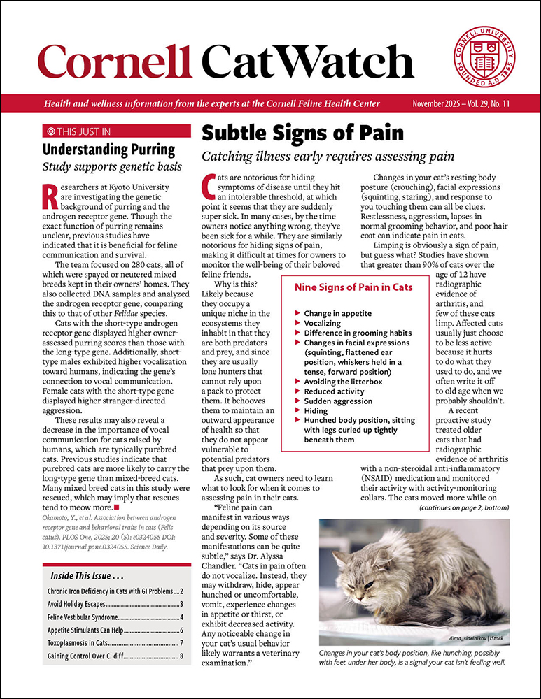 Catwatch November 01, 2025 Issue Cover