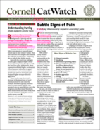 Catwatch November 01, 2025 Issue Cover