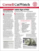 Catwatch November 01, 2025 Issue Cover