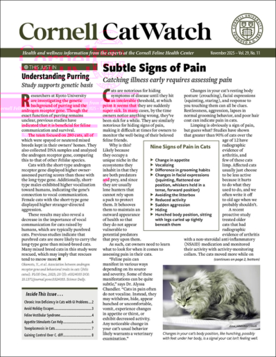 Catwatch November 01, 2025 Issue Cover