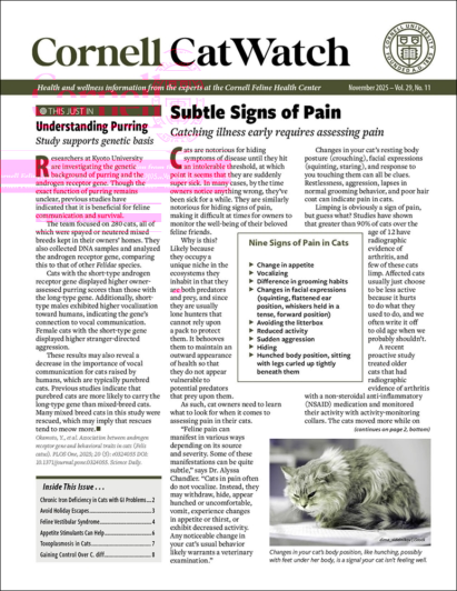 Catwatch November 01, 2025 Issue Cover