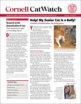 Catwatch April 01, 2026 Issue Cover