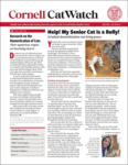 Catwatch April 01, 2026 Issue Cover