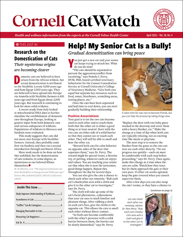 Catwatch April 01, 2026 Issue Cover