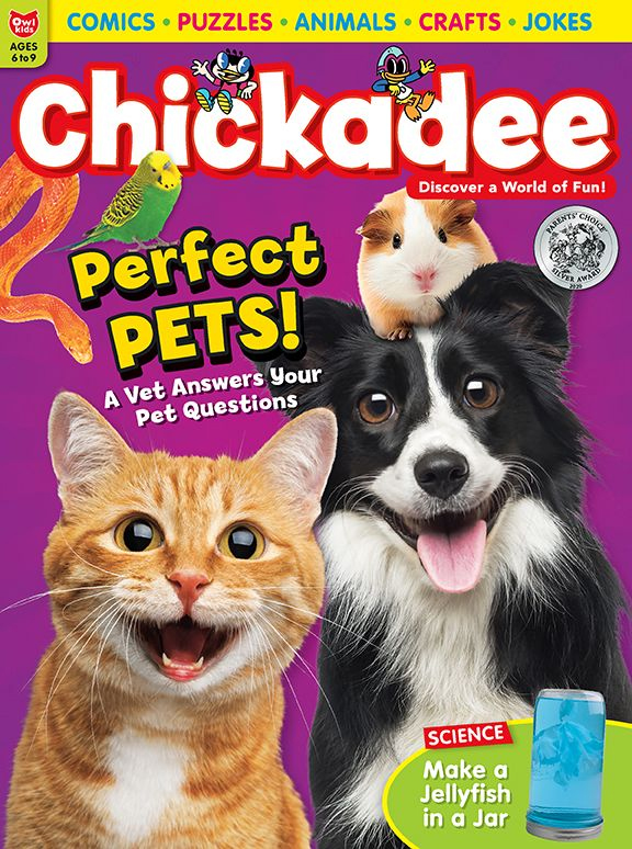 chickaDEE May 01, 2021 Issue Cover