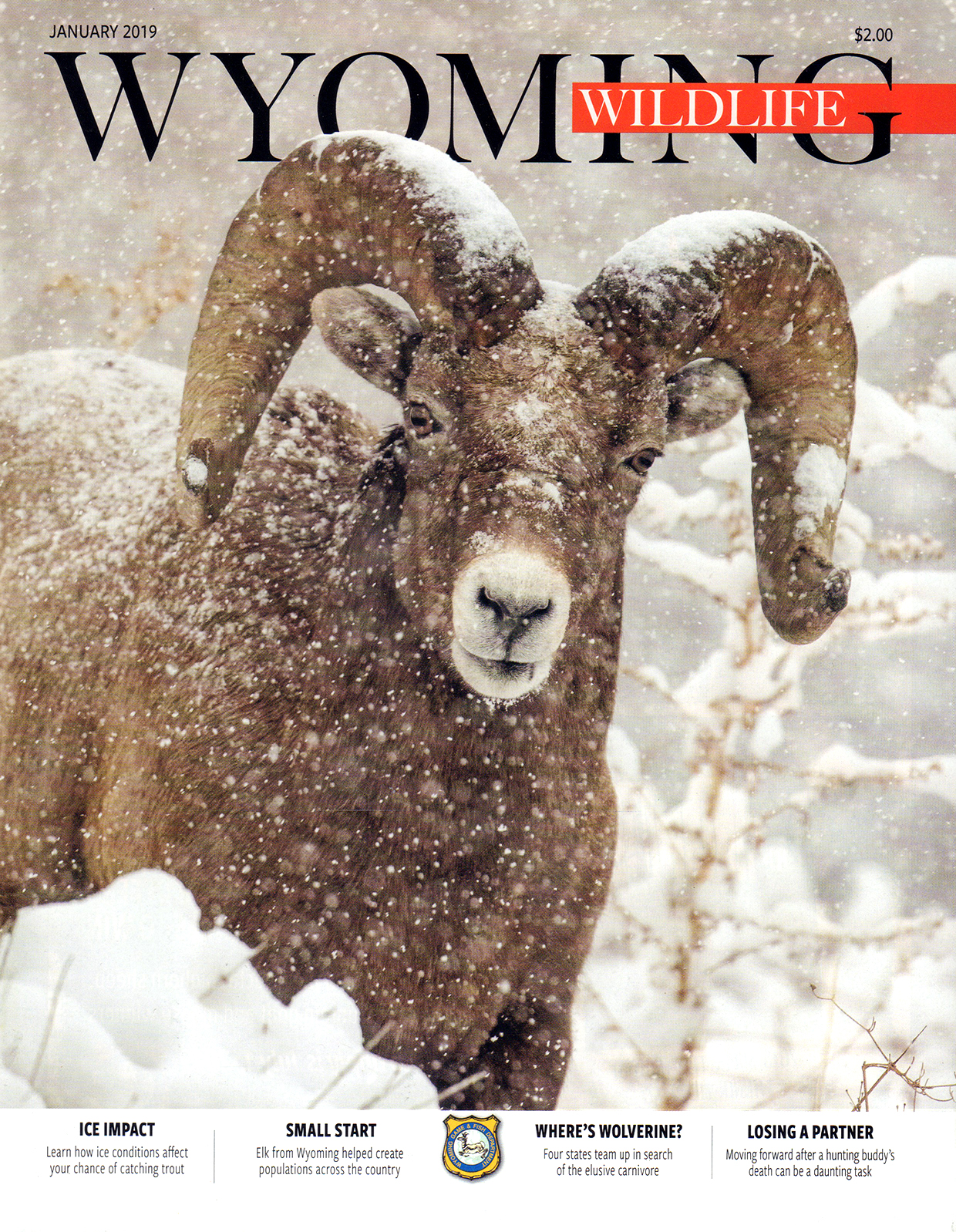 Wyoming-Wildlife January 01, 2019 Issue Cover