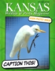 Kansas-Wildlife-and-Parks January 01, 2024 Issue Cover