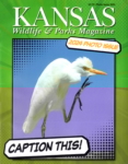Kansas Wildlife & Parks January 01, 2024 Issue Cover