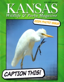 Kansas-Wildlife-and-Parks January 01, 2024 Issue Cover