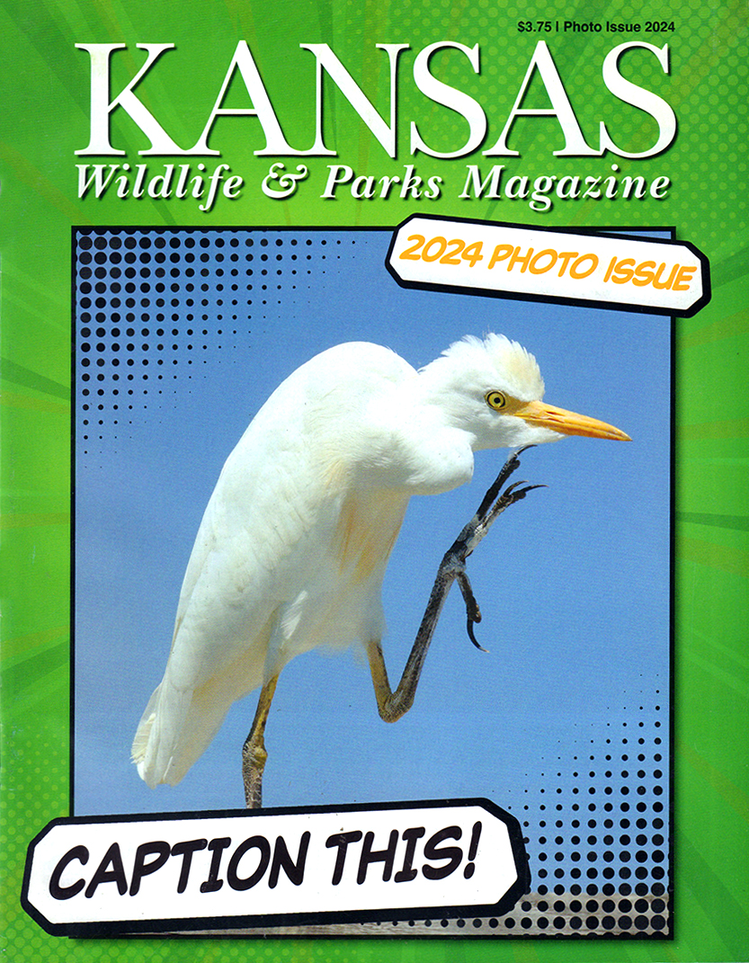 Kansas-Wildlife-and-Parks January 01, 2024 Issue Cover