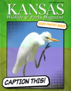 Kansas-Wildlife-and-Parks January 01, 2024 Issue Cover
