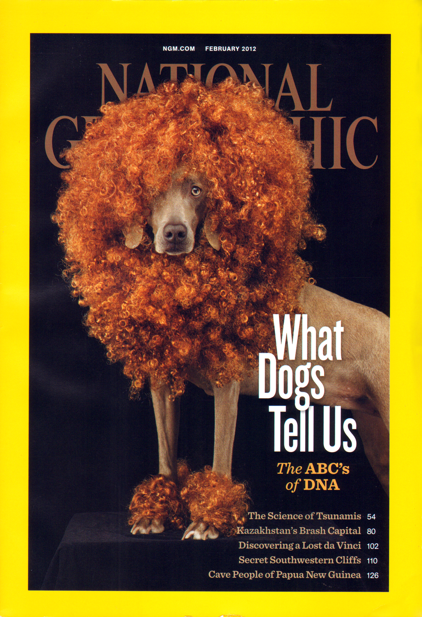 National-Geographic February 01, 2012 Issue Cover