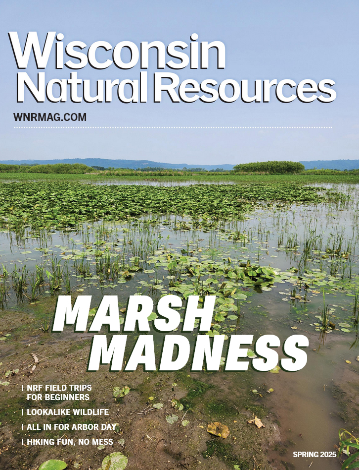 Wisconsin Natural Resources March 01, 2025 Issue Cover