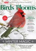 Birds & Blooms December 01, 2024 Issue Cover