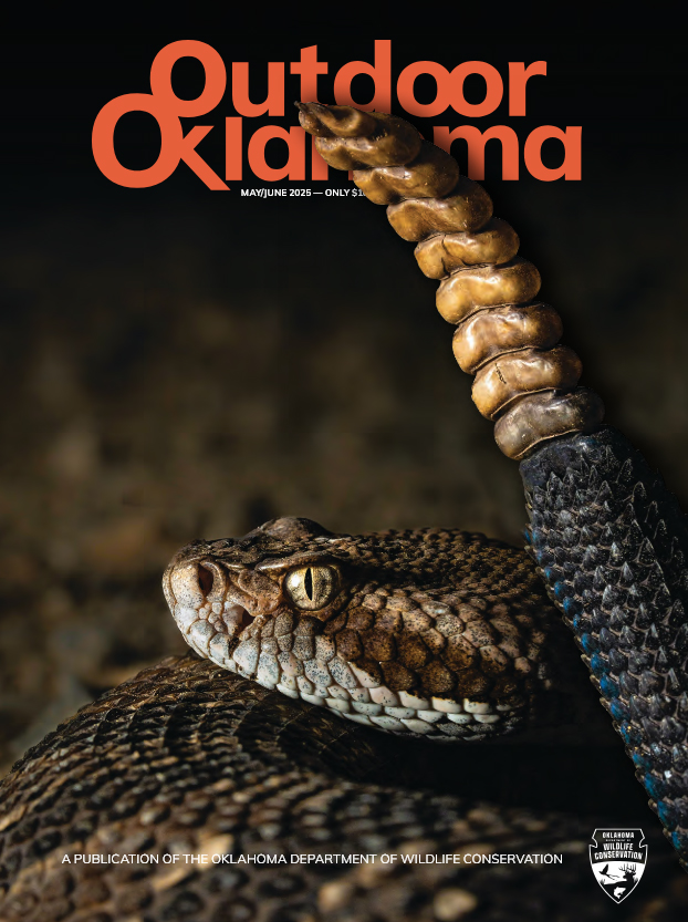 Outdoor Oklahoma May 01, 2025 Issue Cover