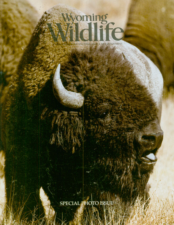 Wyoming-Wildlife April 01, 2009 Issue Cover