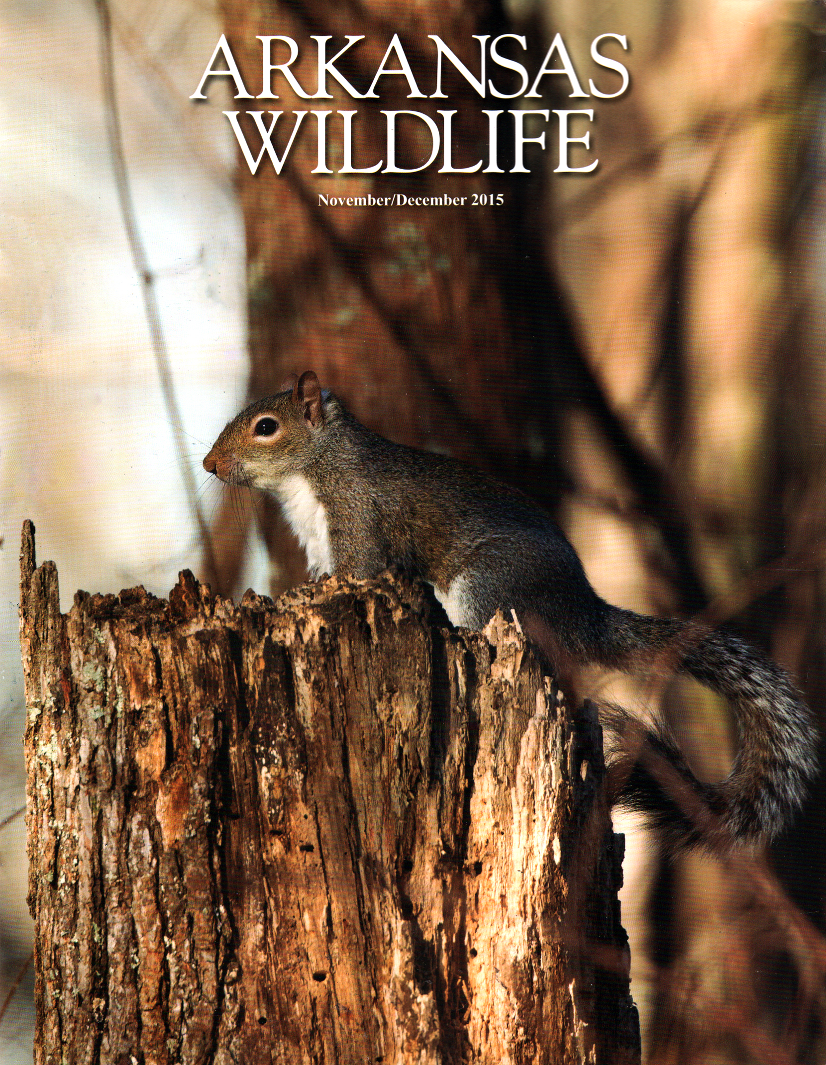 Arkansas-Wildlife November 01, 2015 Issue Cover
