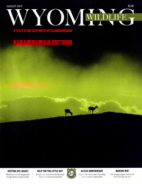 Wyoming-Wildlife August 01, 2019 Issue Cover