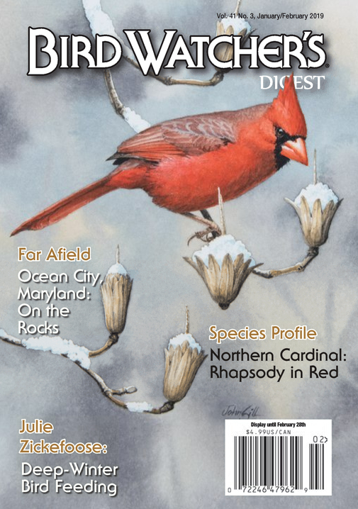 Bird-Watchers-Digest January 01, 2019 Issue Cover