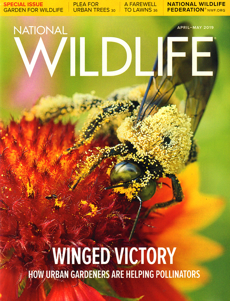 National-Wildlife April 01, 2019 Issue Cover