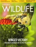 National-Wildlife April 01, 2019 Issue Cover