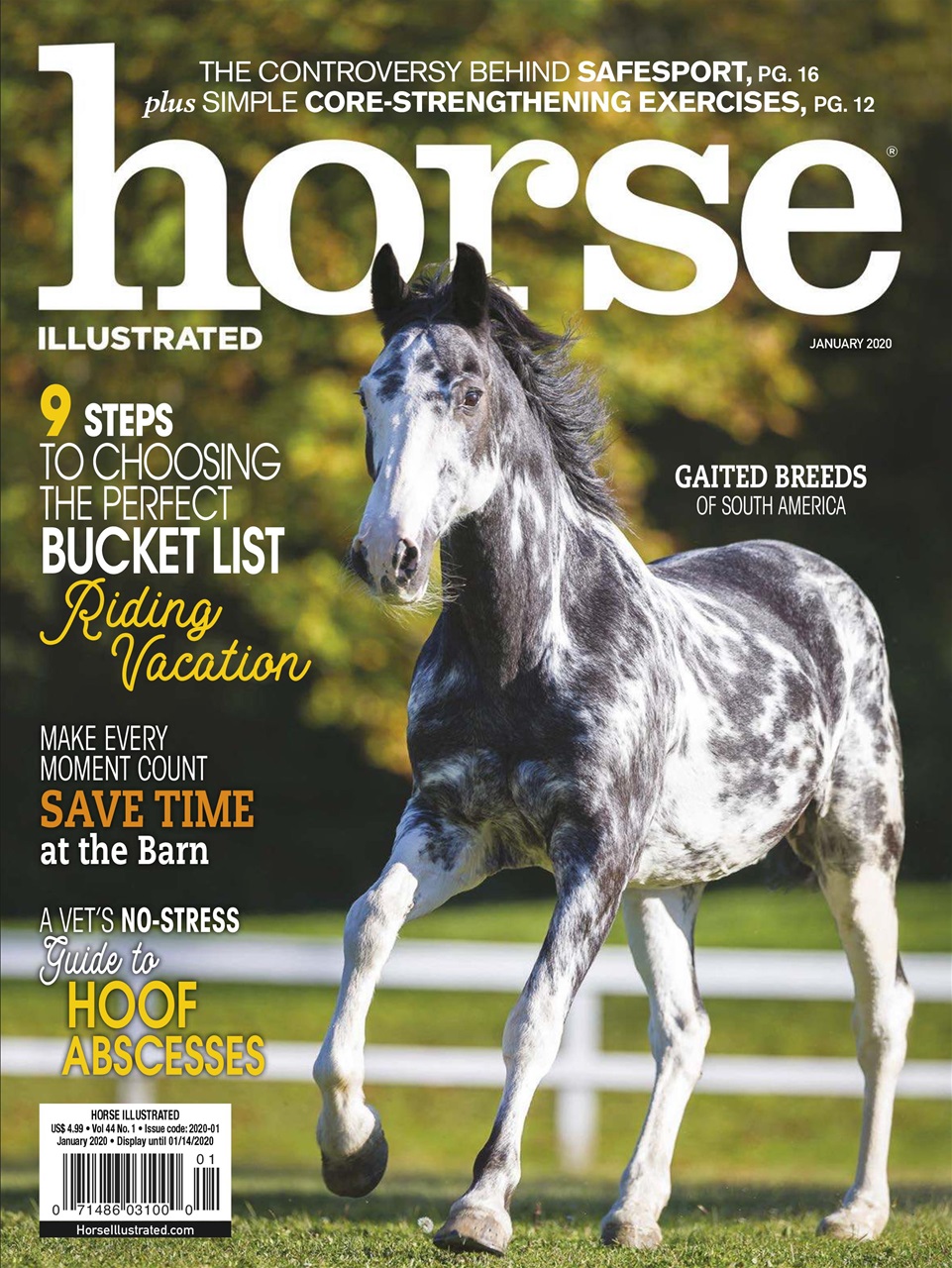 Horse-Illustrated January 01, 2020 Issue Cover