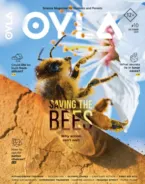 Oyla October 01, 2025 Issue Cover