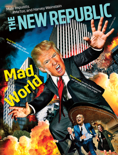 The New Republic July 01, 2019 Issue Cover