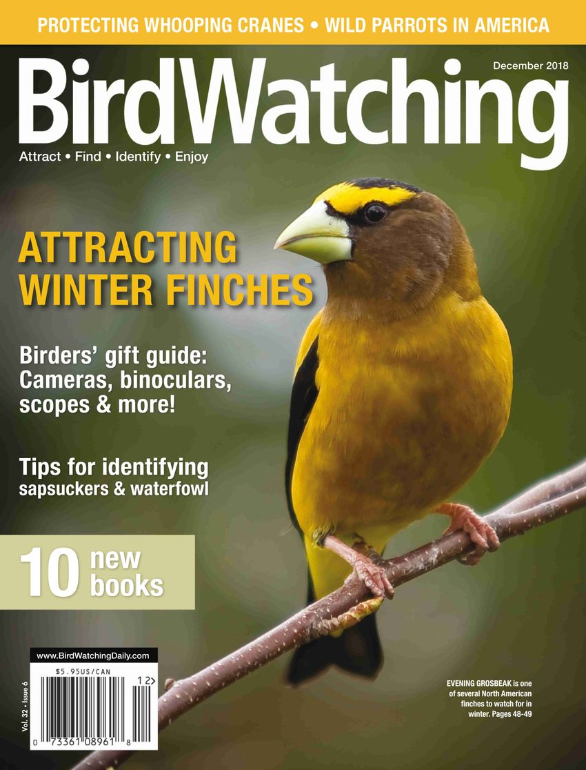Bird-Watching November 01, 2018 Issue Cover