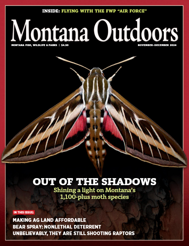 Montana Outdoors November 01, 2024 Issue Cover