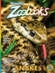 Zoobooks July 01, 2024 Issue Cover