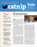 Catnip December 01, 2019 Issue Cover