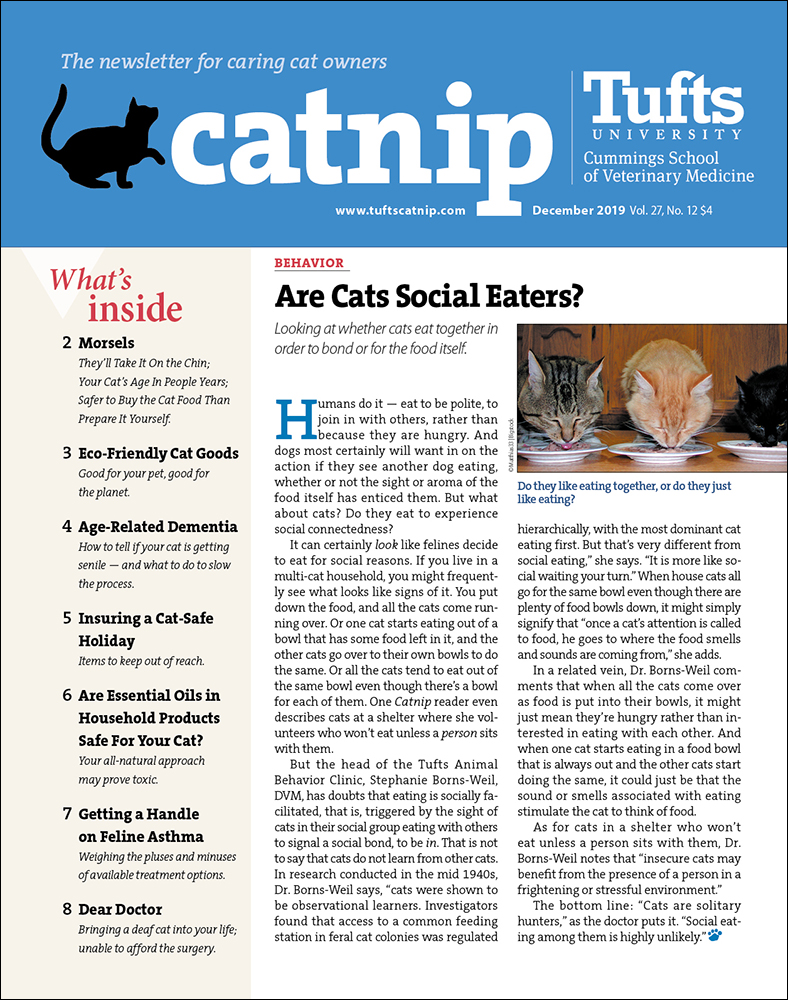 Catnip December 01, 2019 Issue Cover