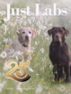 Just-Labs May 01, 2026 Issue Cover