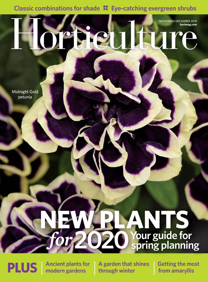 Horticulture November 01, 2019 Issue Cover