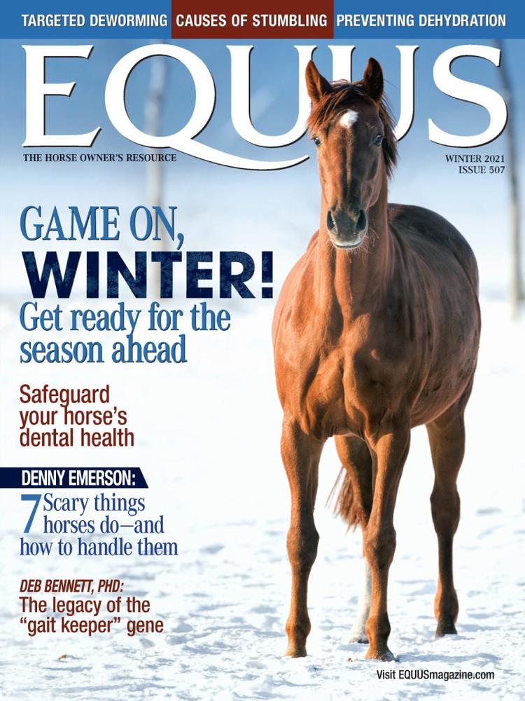 Subscribe to Equus Magazine