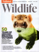 National Wildlife September 01, 2023 Issue Cover