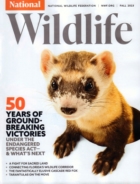 National-Wildlife September 01, 2023 Issue Cover