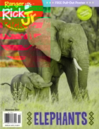 Ranger-Rick-Jr November 01, 2017 Issue Cover