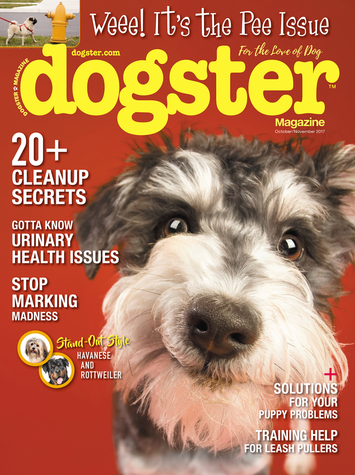 Dogster October 01, 2017 Issue Cover