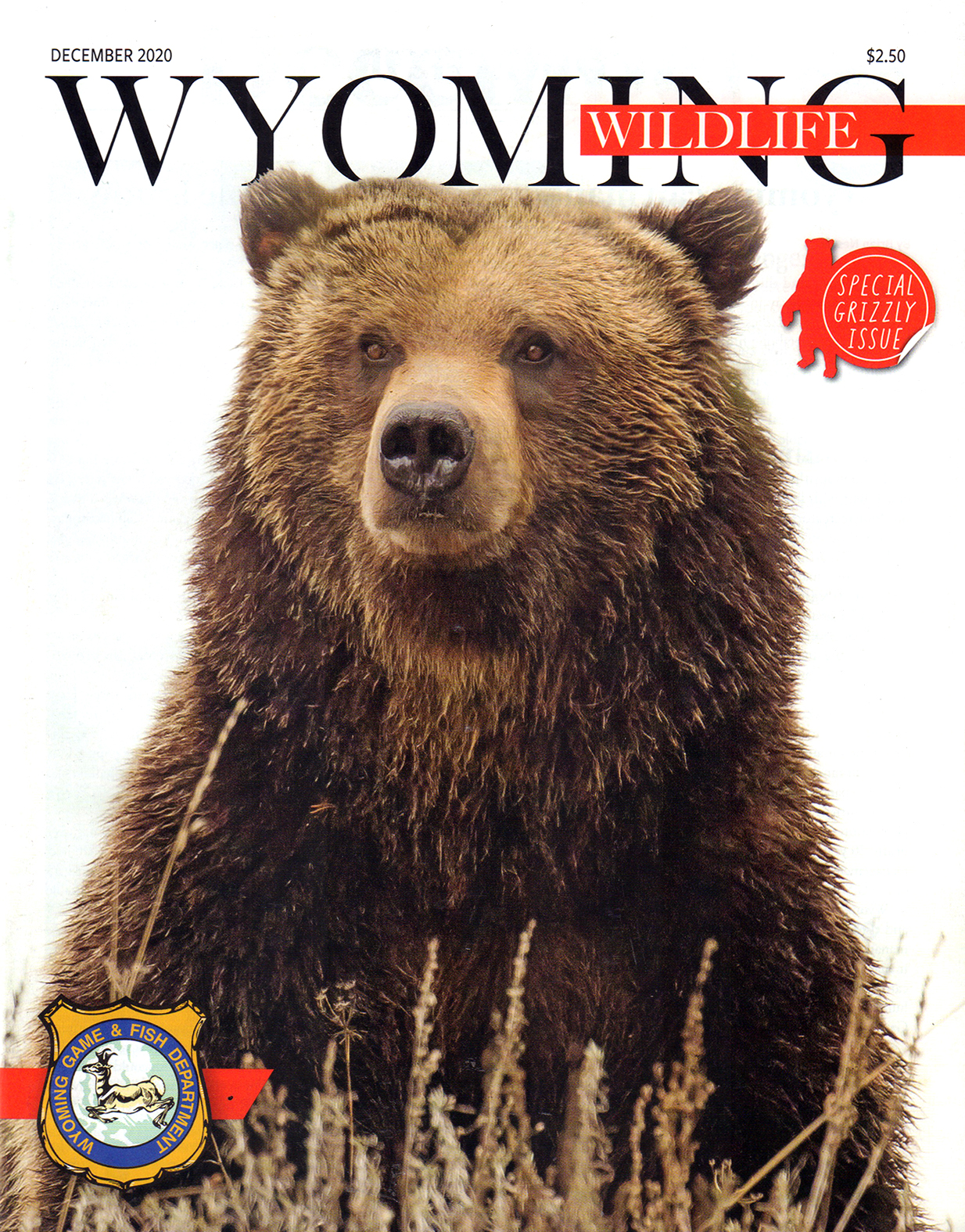 Wyoming-Wildlife December 01, 2020 Issue Cover