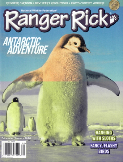 Ranger Rick December 01, 2019 Issue Cover
