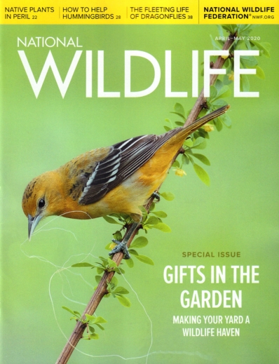 National Wildlife April 01, 2020 Issue Cover