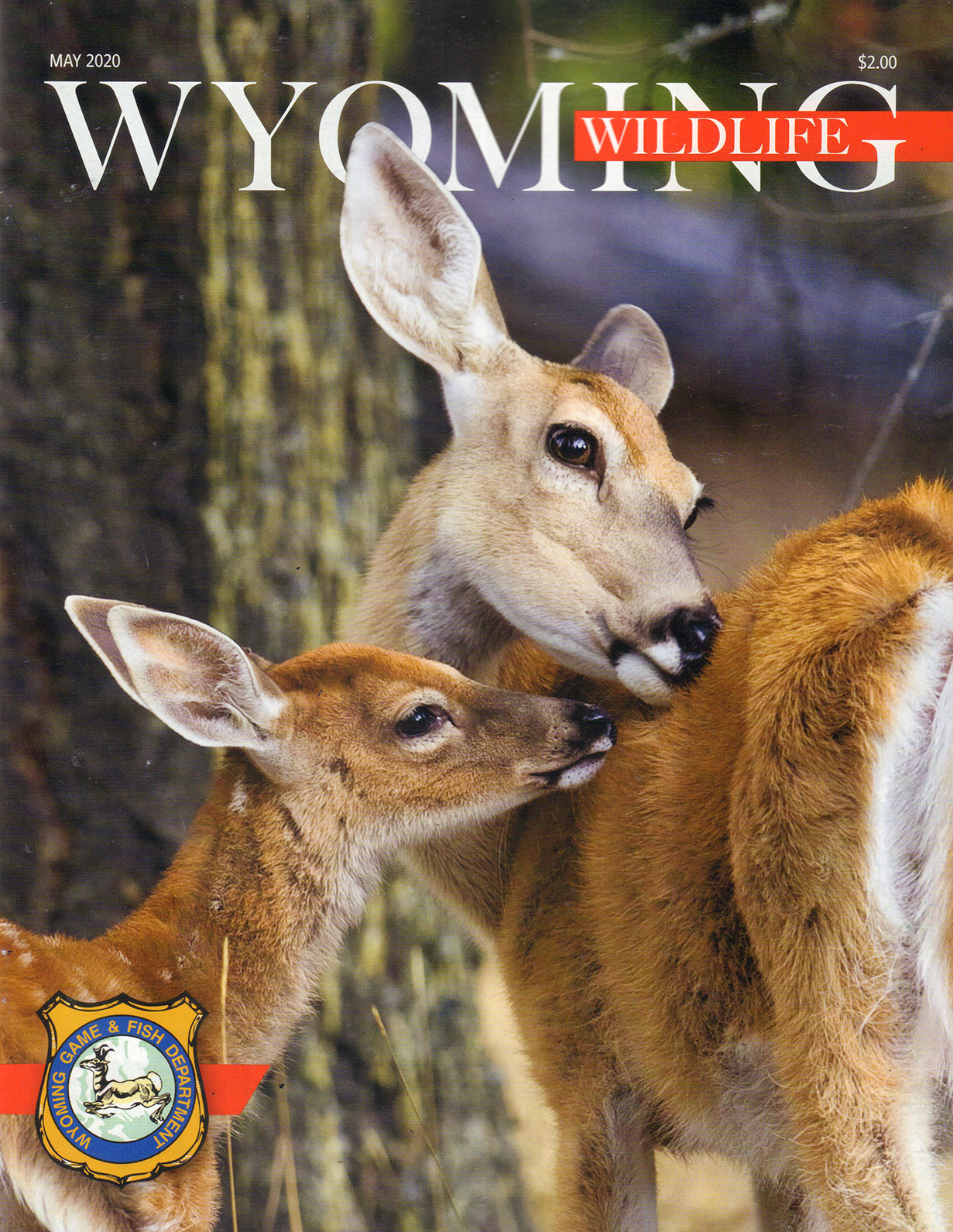 Wyoming-Wildlife May 01, 2020 Issue Cover