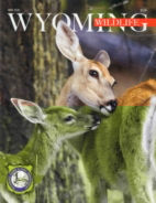 Wyoming-Wildlife May 01, 2020 Issue Cover