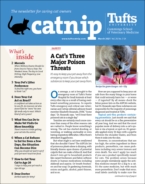 Catnip March 01, 2021 Issue Cover