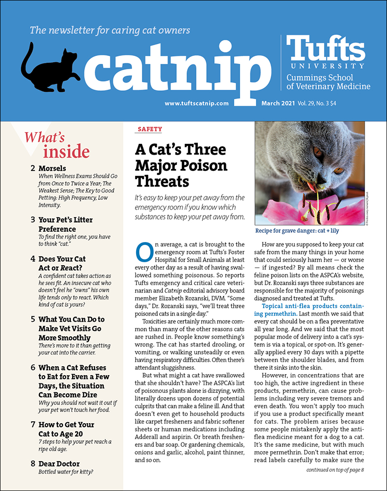 Catnip March 01, 2021 Issue Cover